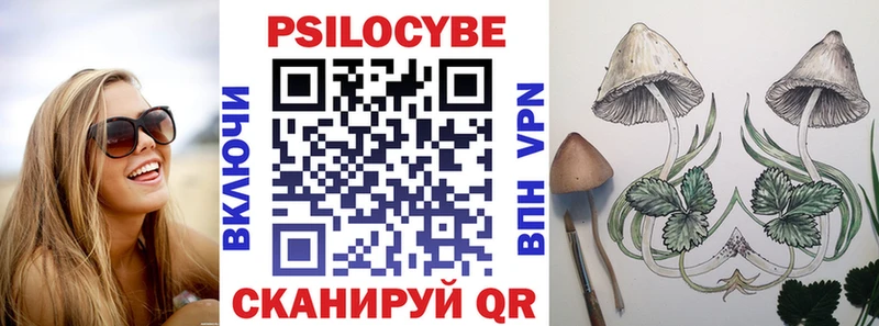 Псилоцибиновые грибы Psilocybe Комсомольск-на-Амуре