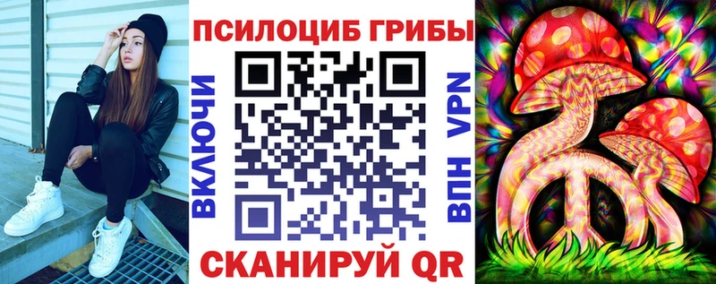 Псилоцибиновые грибы Cubensis  Купить где  Комсомольск-на-Амуре 